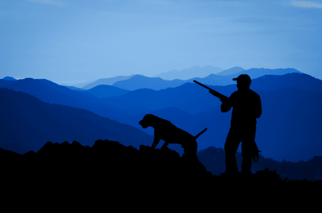 Into the Wild