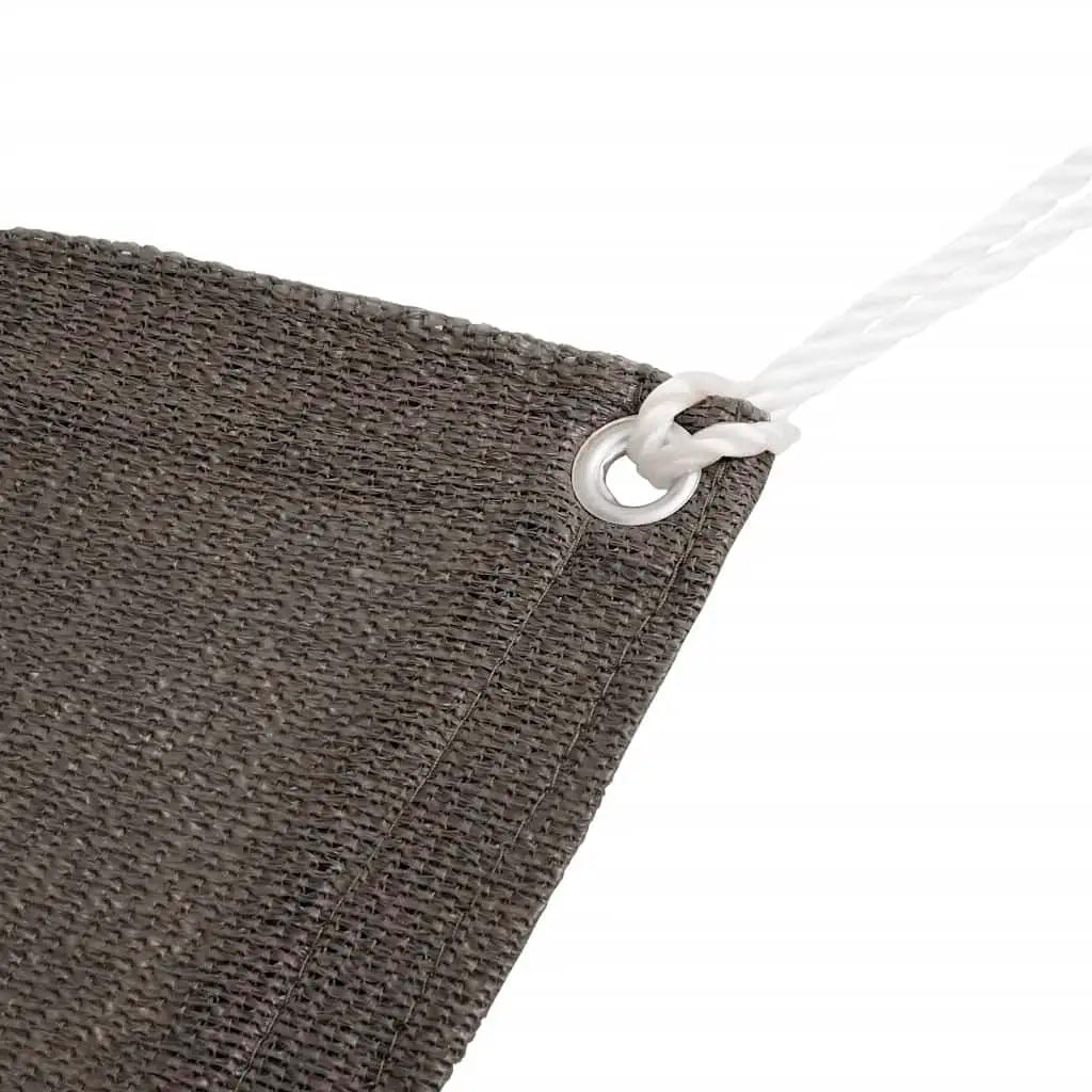 VidaXL Anthracite 78.7x157.5 Tent Carpet W2B Camping Mat