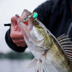 Glowing Squid Jigs Saltwater Shrimp Lures Fluorescent Artificial Fishing Baits Realistic Freshwater Fish Luring Tools supplies