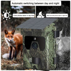 Solar-Powered 4K Wildlife Trail Cam